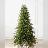 Árvore de Natal Grande Abeto Norueguês