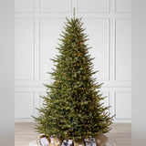 Árvore de Natal Pinheiro Norueguês do Norte
