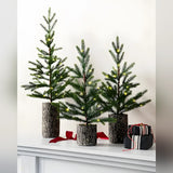 Trio de Mini Árvores de Natal Bosque Encantado com Vasos Rústicos e Luzes LED