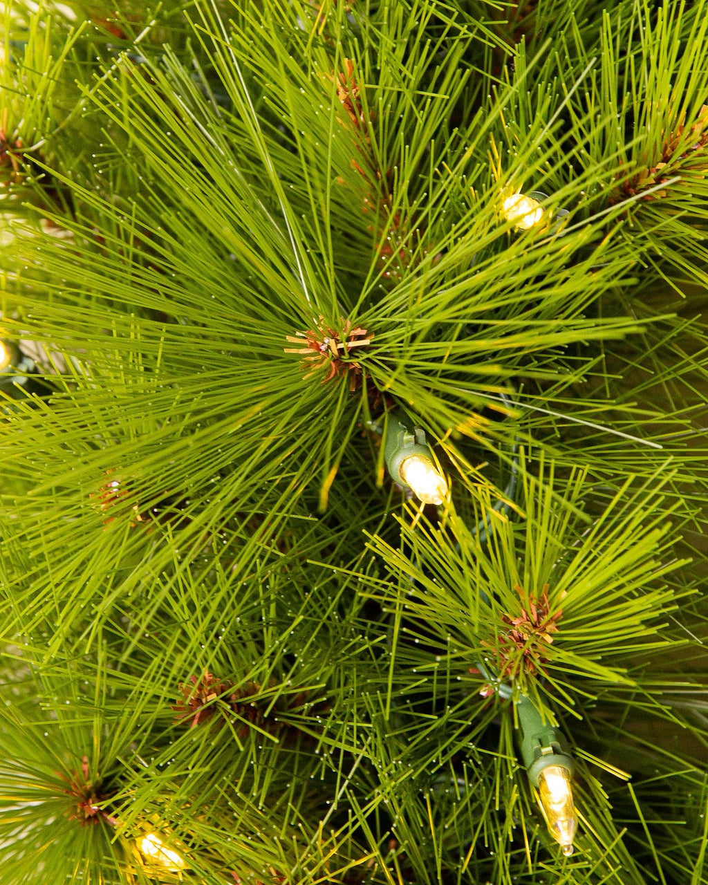 Árvore de Natal Pinheiro Agulha LED Colorido