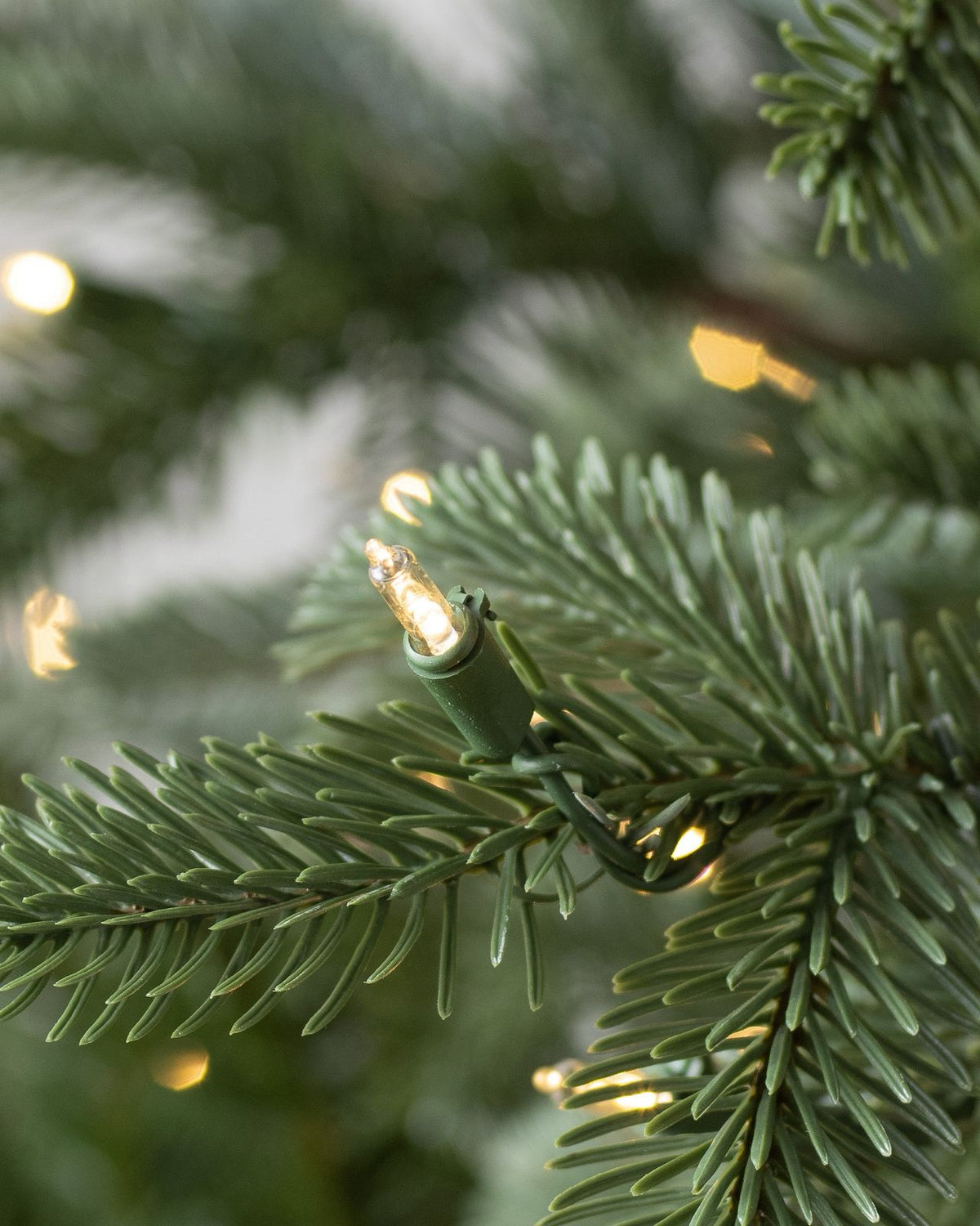 Árvore de Natal Abeto Nórdico