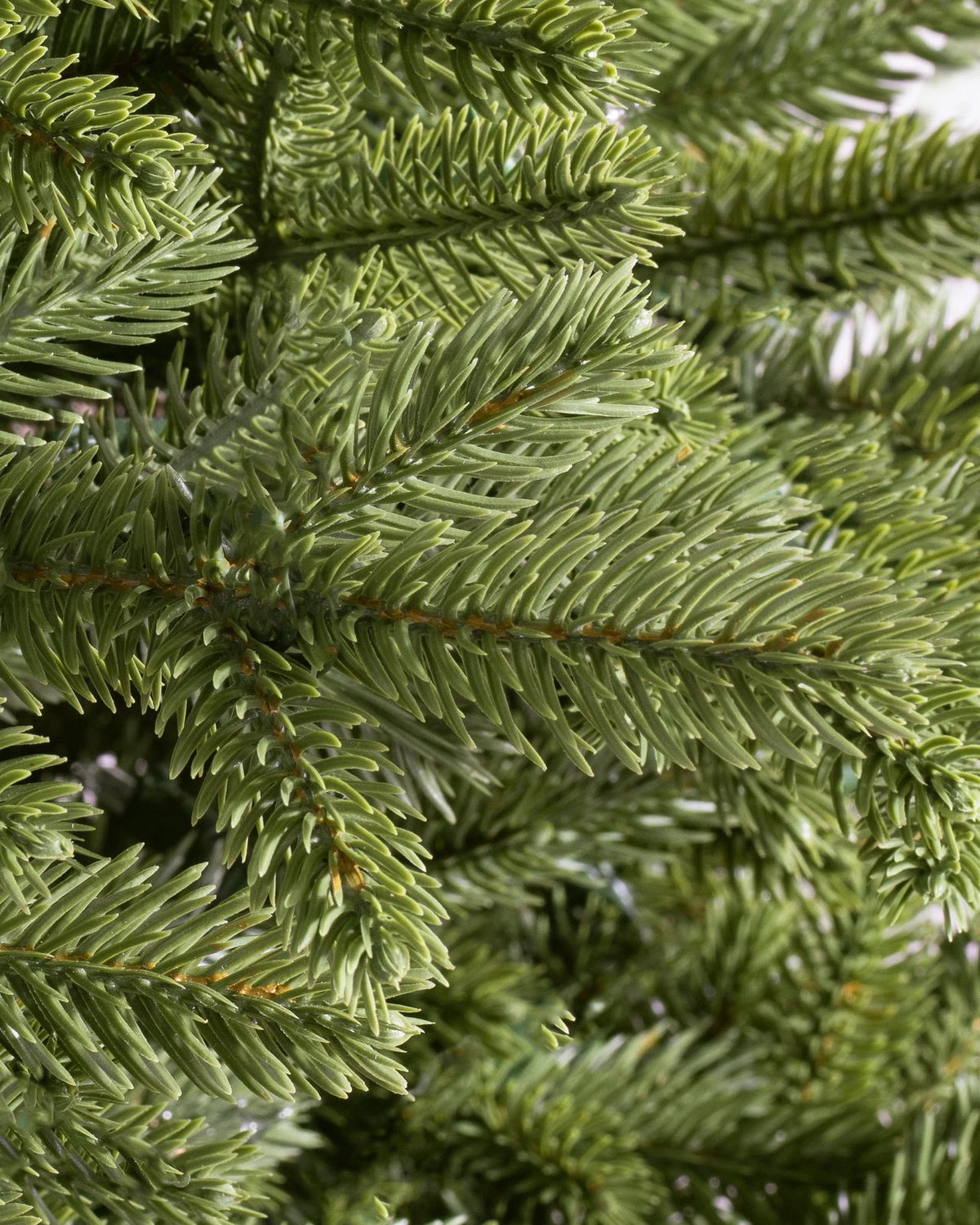 Árvore de Natal Pinheiro Imperial LED Colorido
