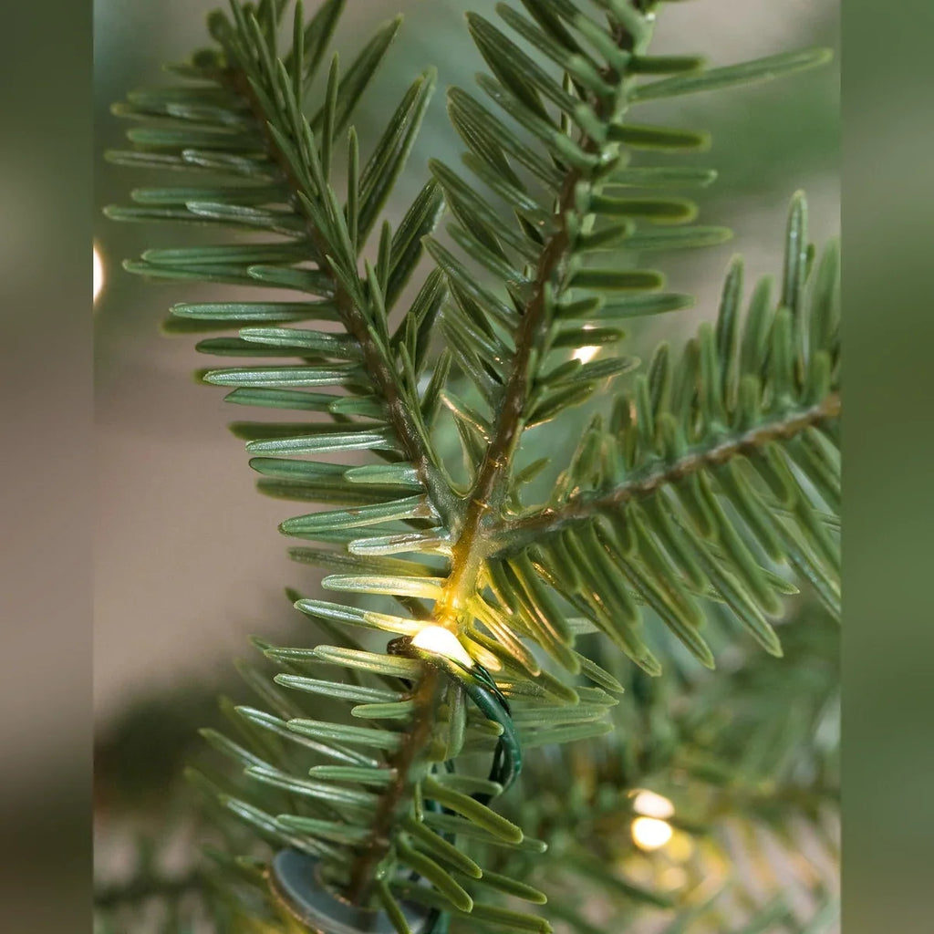 Árvore de Natal Abeto Balsâmico Alpino
