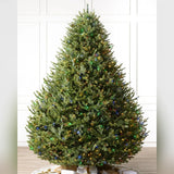 Árvore de Natal Abeto Balsâmico Imperial