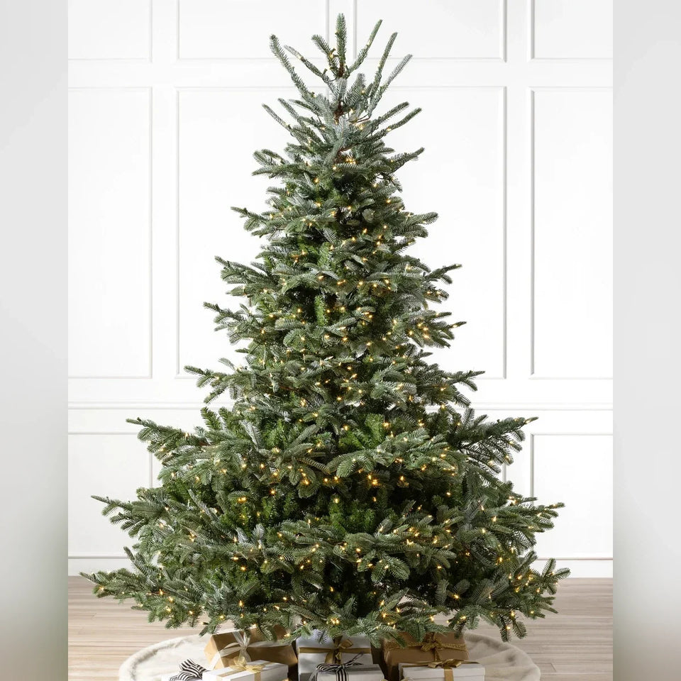 Árvore de Natal Abeto Europeu