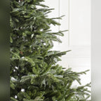 Árvore de Natal Abeto Europeu