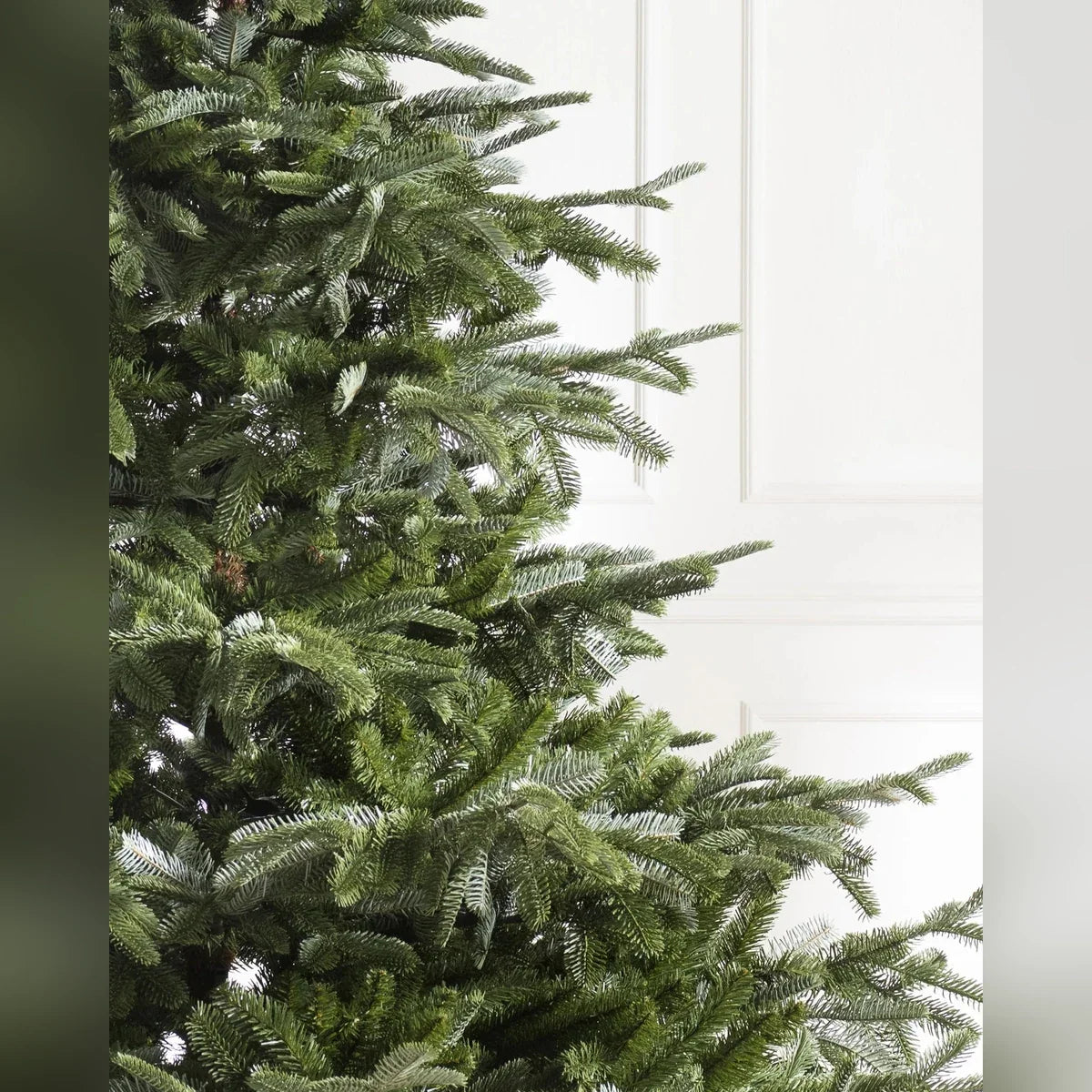 Árvore de Natal Abeto Europeu