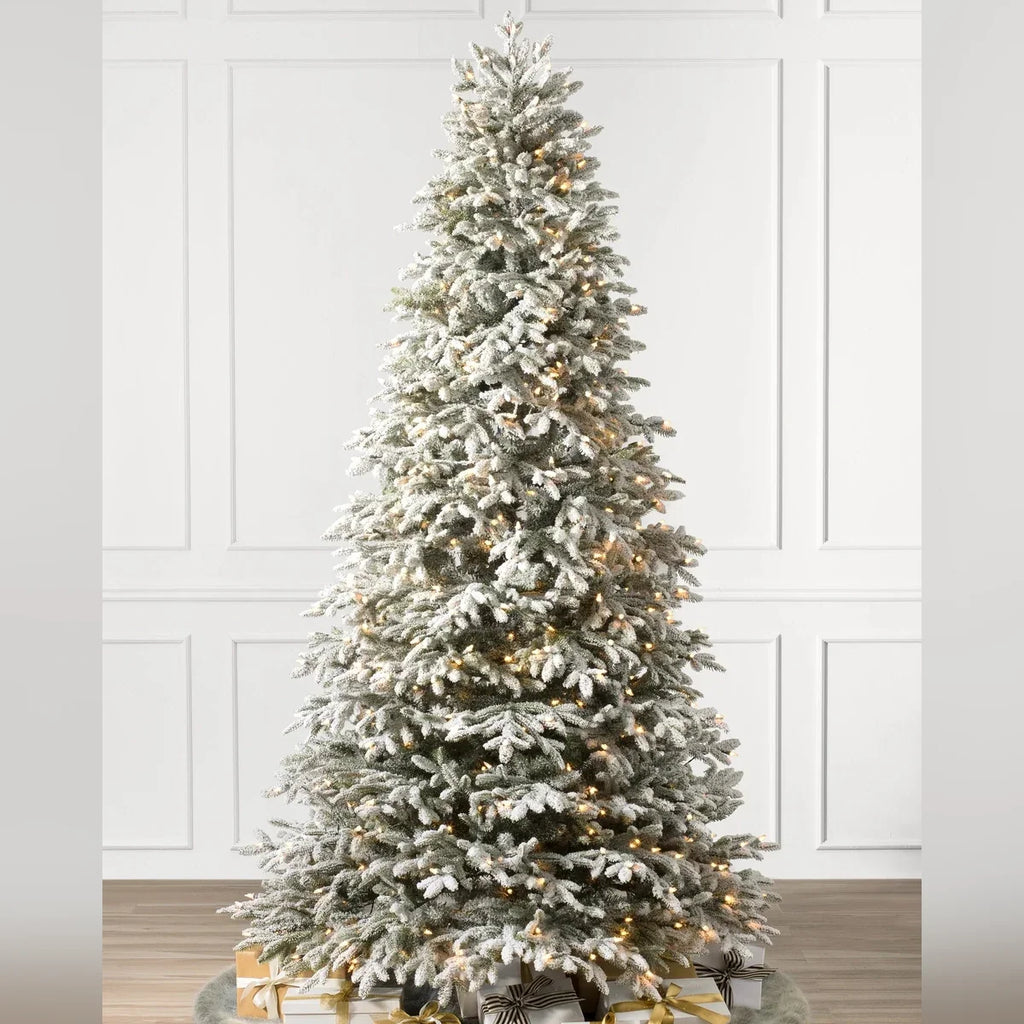 Árvore de Natal Abeto Fraser Nevado