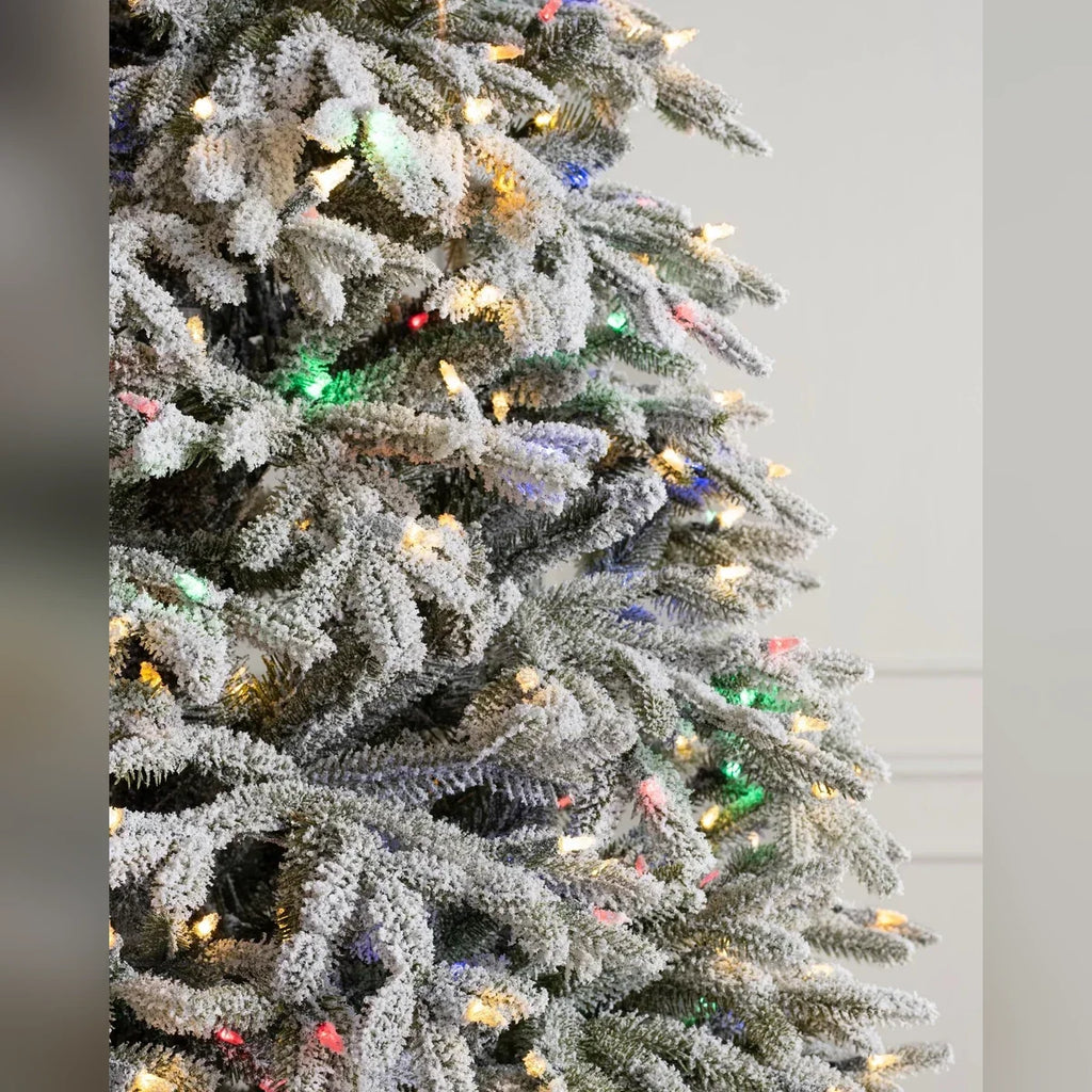 Árvore de Natal Abeto Fraser Nevado