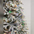 Árvore de Natal Abeto Fraser Nevado