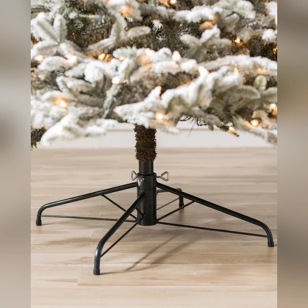 Árvore de Natal Abeto Fraser Nevado