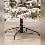 Árvore de Natal Abeto Fraser Nevado