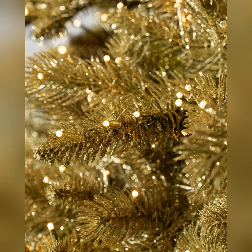 Árvore de Natal Abeto Golden Aspen Estate