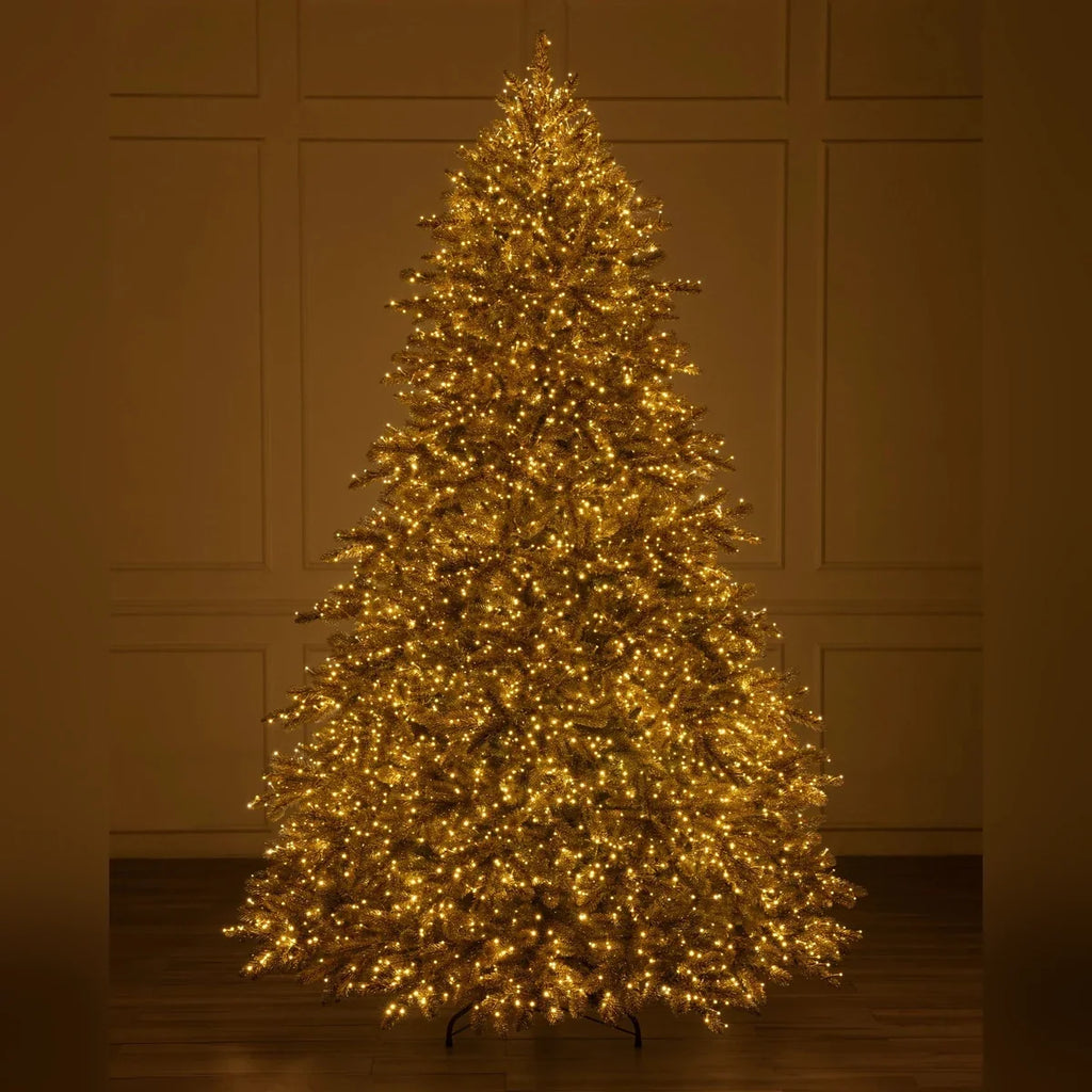 Árvore de Natal Abeto Golden Aspen Estate