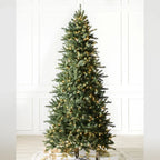 Árvore de Natal Abeto Montanha Berkshire