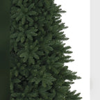 Árvore de Natal Abeto Montanha Berkshire