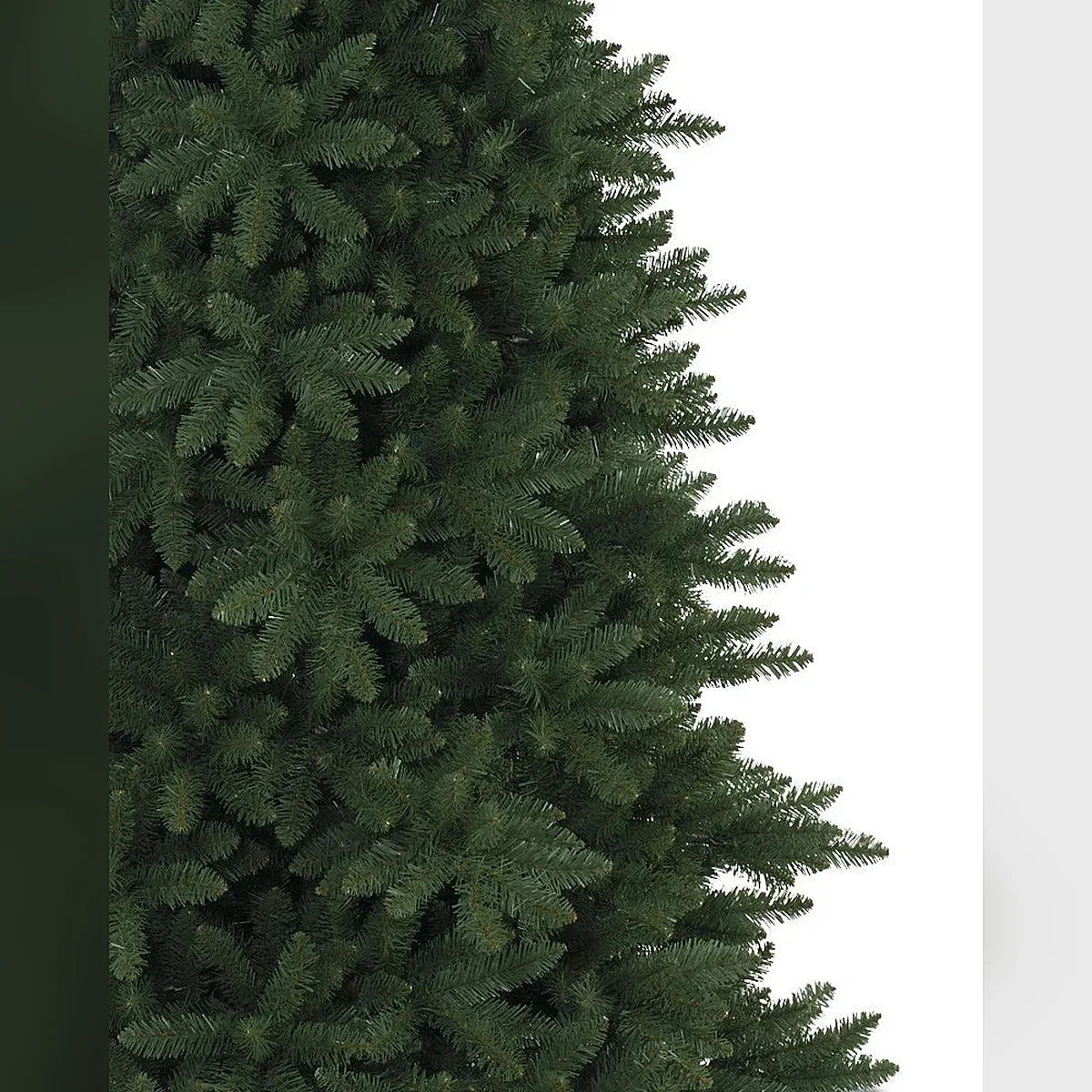 Árvore de Natal Abeto Montanha Berkshire