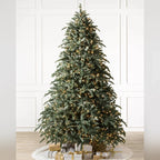 Árvore de Natal Abeto Nobre