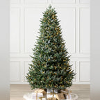 Árvore de Natal Abeto Prateado Europeu