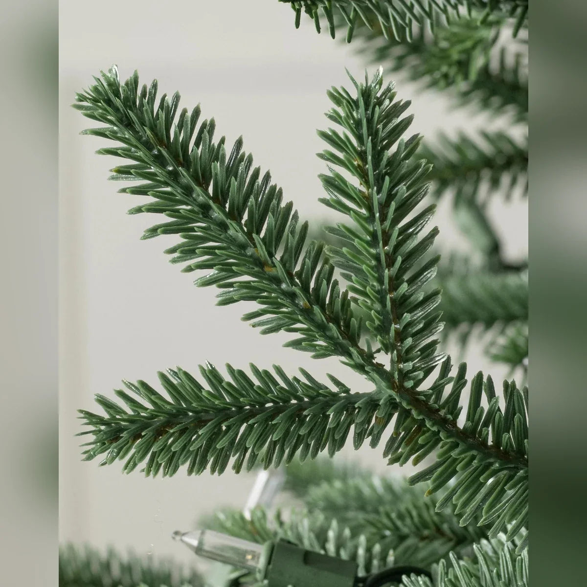 Árvore de Natal Abeto Prateado Europeu