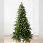Árvore de Natal Grande Abeto Norueguês