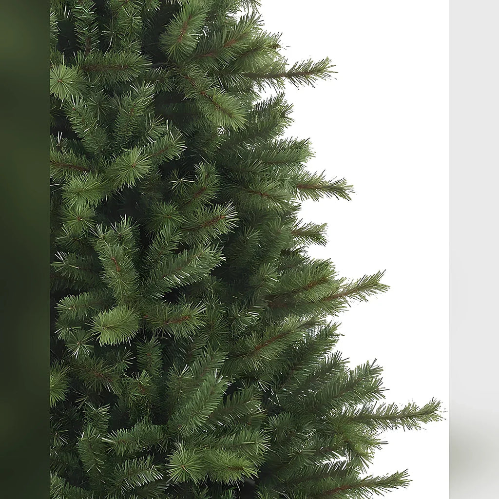 Árvore de Natal Grande Abeto Norueguês