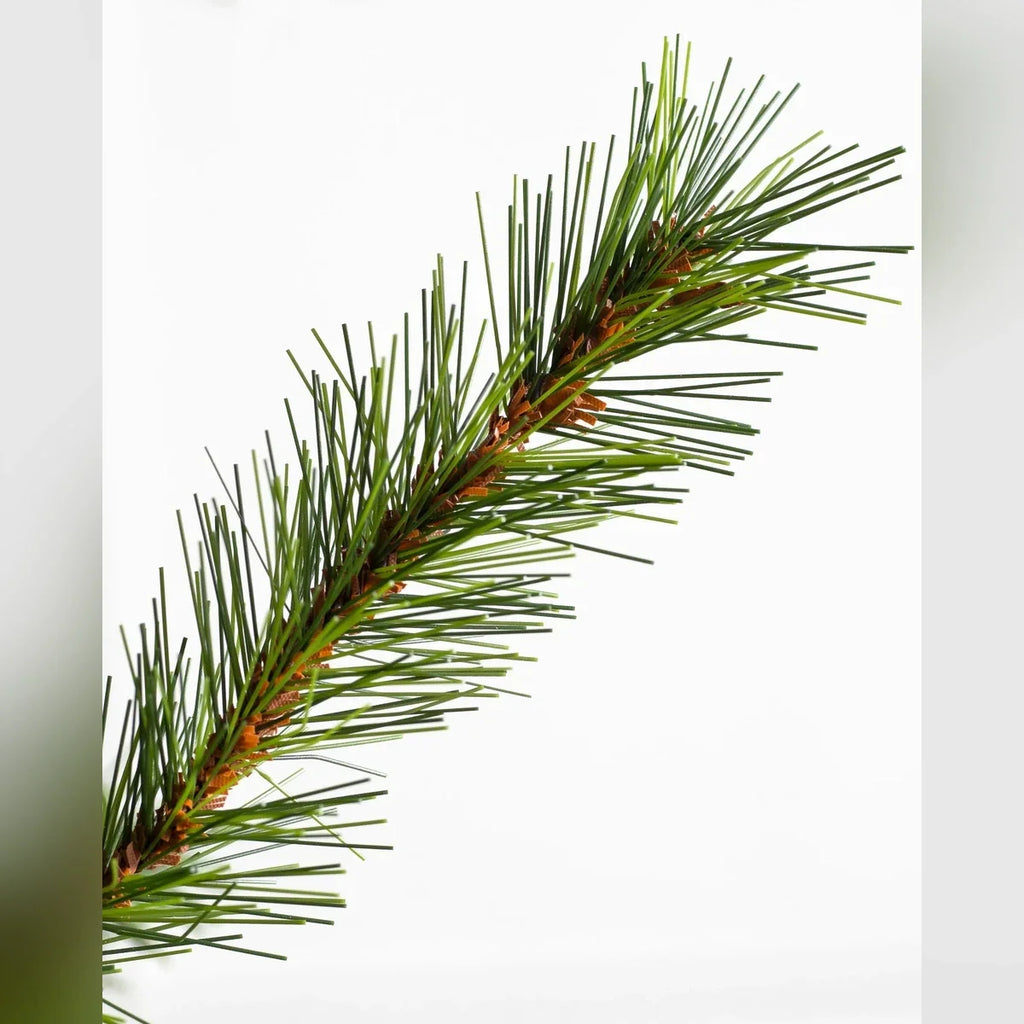 Árvore de Natal Grande Abeto Norueguês