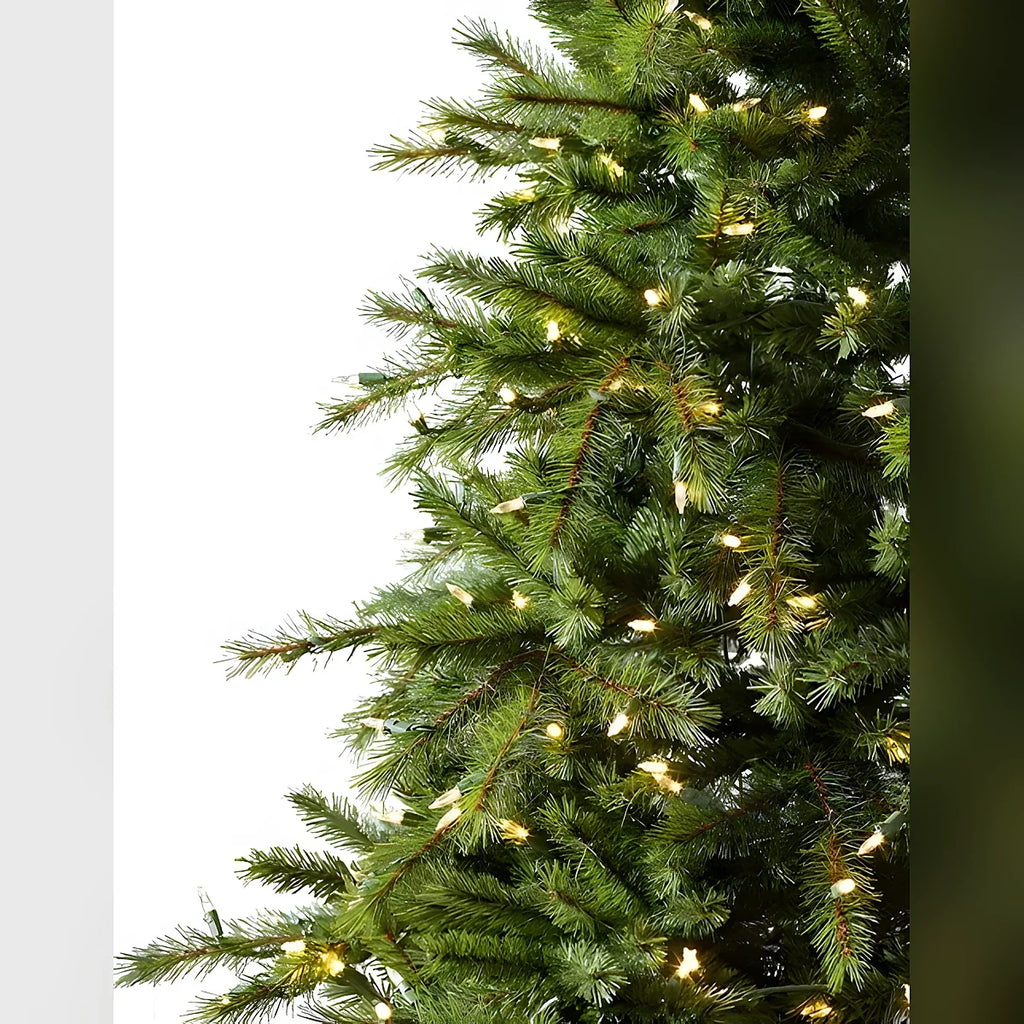Árvore de Natal Grande Abeto Norueguês