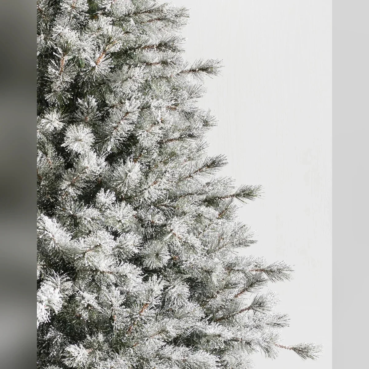 Árvore de Natal Pinheiro Açucarado Nevado