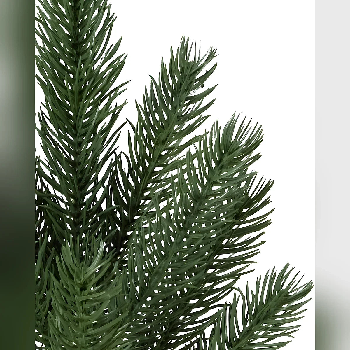 Árvore de Natal Pinheiro Branco de Vermont