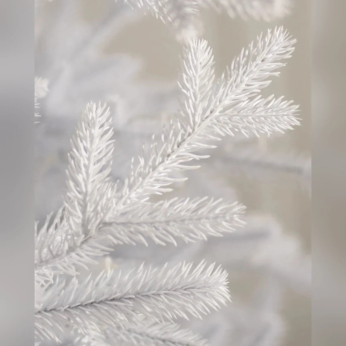 Árvore de Natal Pinheiro Branco Denali