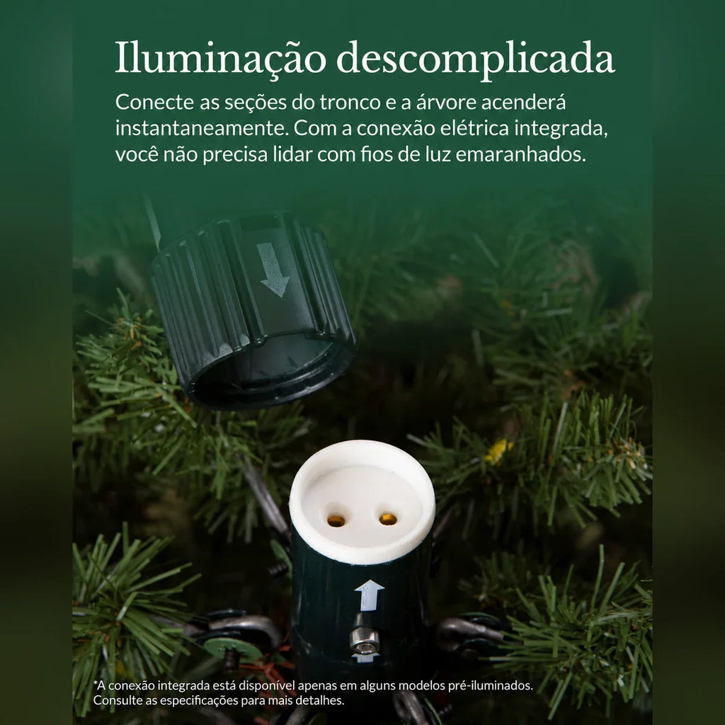 Árvore de Natal Pinheiro Branco Denali