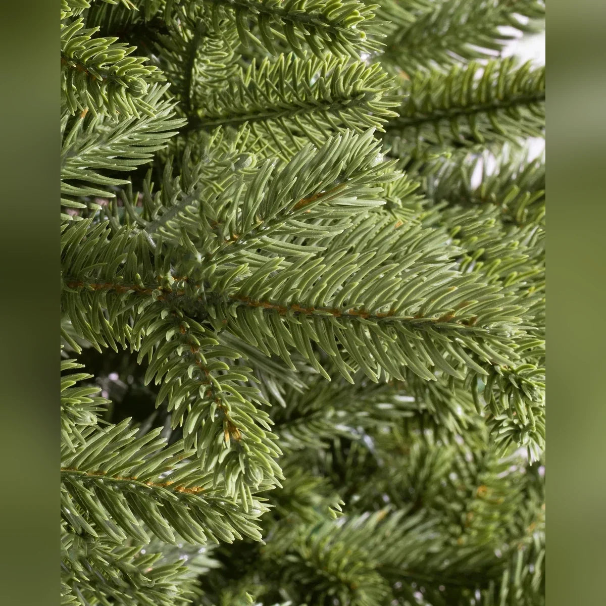 Árvore de Natal Pinheiro Norueguês