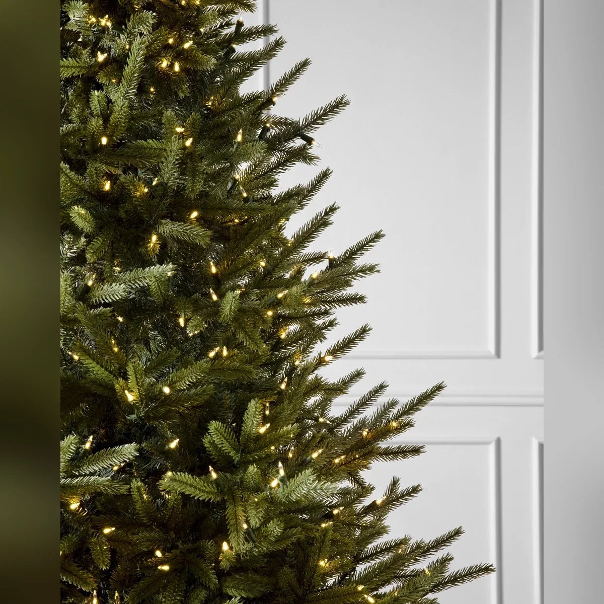 Árvore de Natal Pinheiro Norueguês do Norte