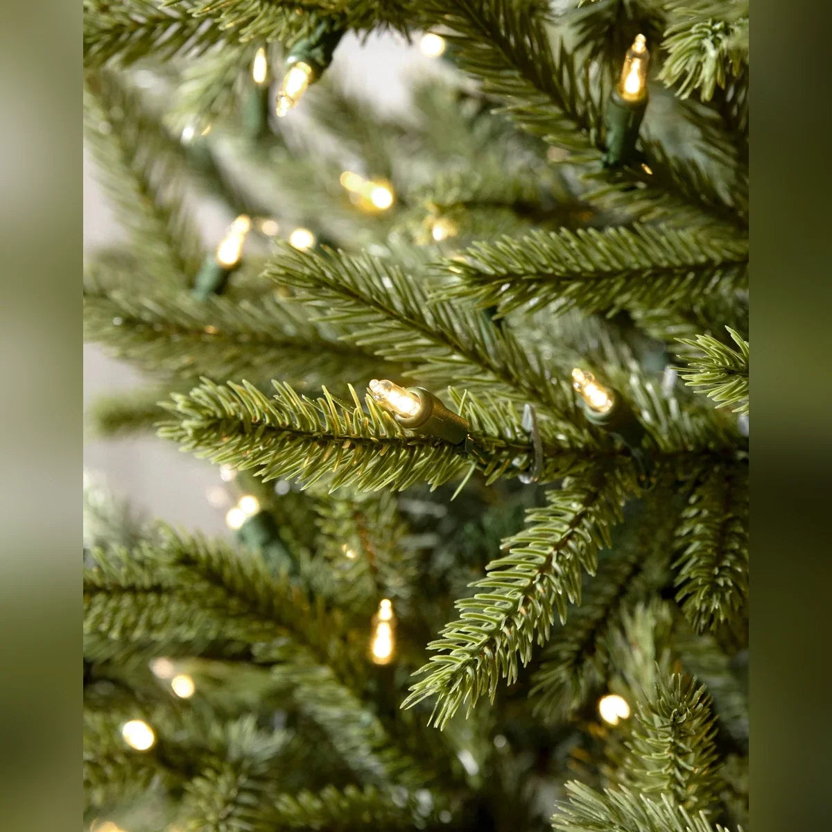 Árvore de Natal Pinheiro Norueguês do Norte