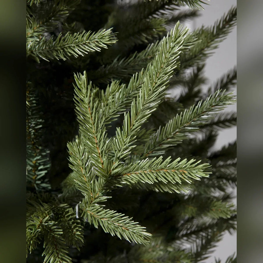 Árvore de Natal Pinheiro Norueguês do Norte