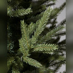 Árvore de Natal Pinheiro Norueguês do Norte