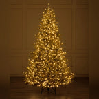 Árvore de Natal Pinheiro Norueguês do Norte