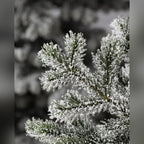 Árvore de Natal Pinheiro Yukon Nevado