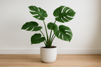 Planta Artificial Monstera Deliciosa 80cm com Vaso Cerâmica